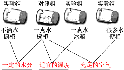 澳门·威斯尼斯wns888入口